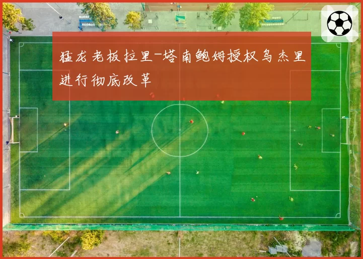 猛龙老板拉里-塔南鲍姆授权乌杰里进行彻底改革