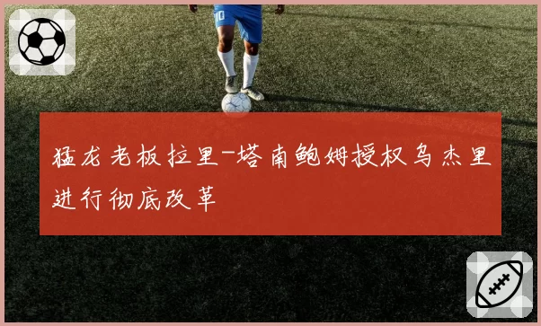 猛龙老板拉里-塔南鲍姆授权乌杰里进行彻底改革