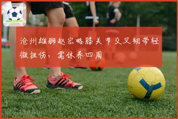 沧州雄狮赵宏略膝关节交叉韧带轻微扭伤，需休养四周